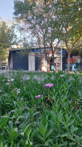 عکس میوه فروشی