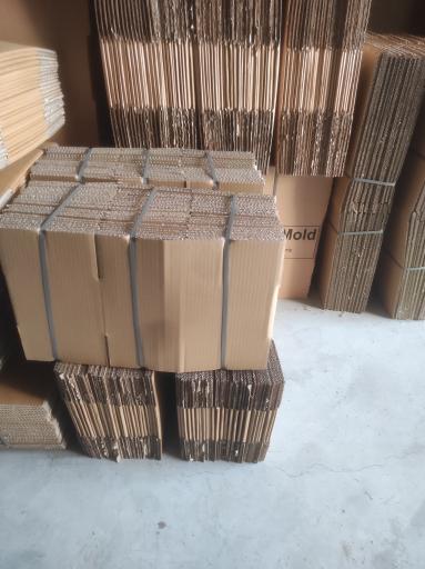 عکس کارتن سازی زارعی (آریو)