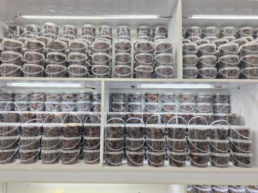 عکس سبزی خردکنی ایری