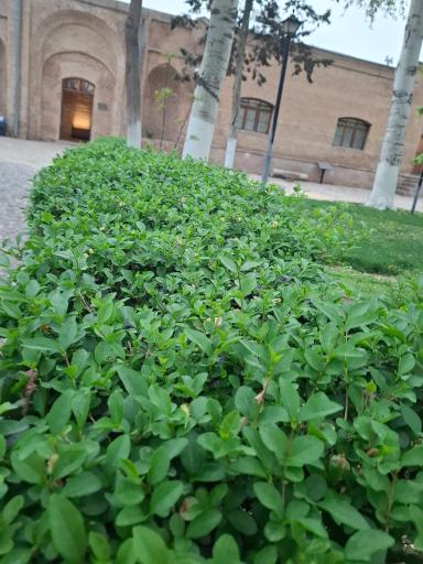 عکس مجموعه تاریخی دولتخانه صفوی