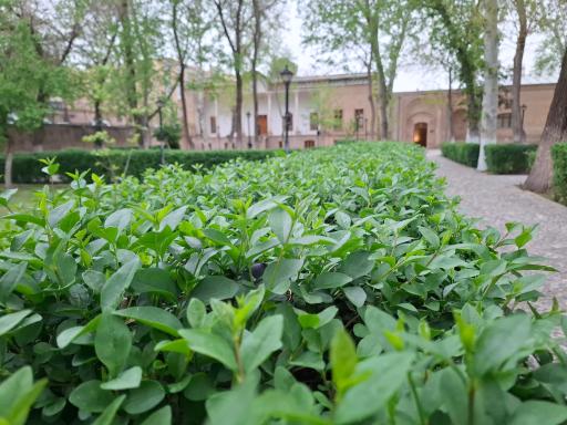 مجموعه تاریخی دولتخانه صفوی