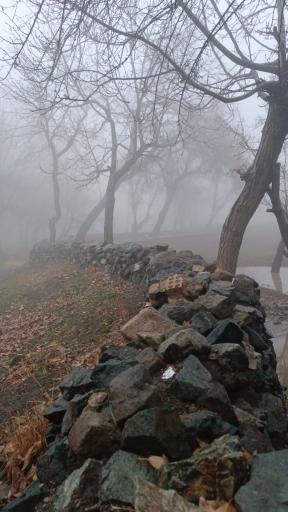 عکس نشلج