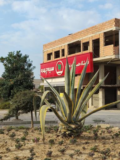 عکس فروشگاه سیه چهره