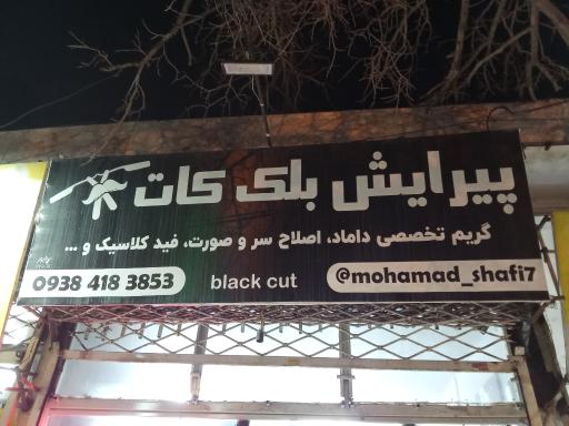 عکس پیرایش بلک کات