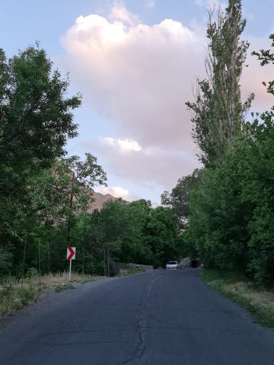عکس نشلج
