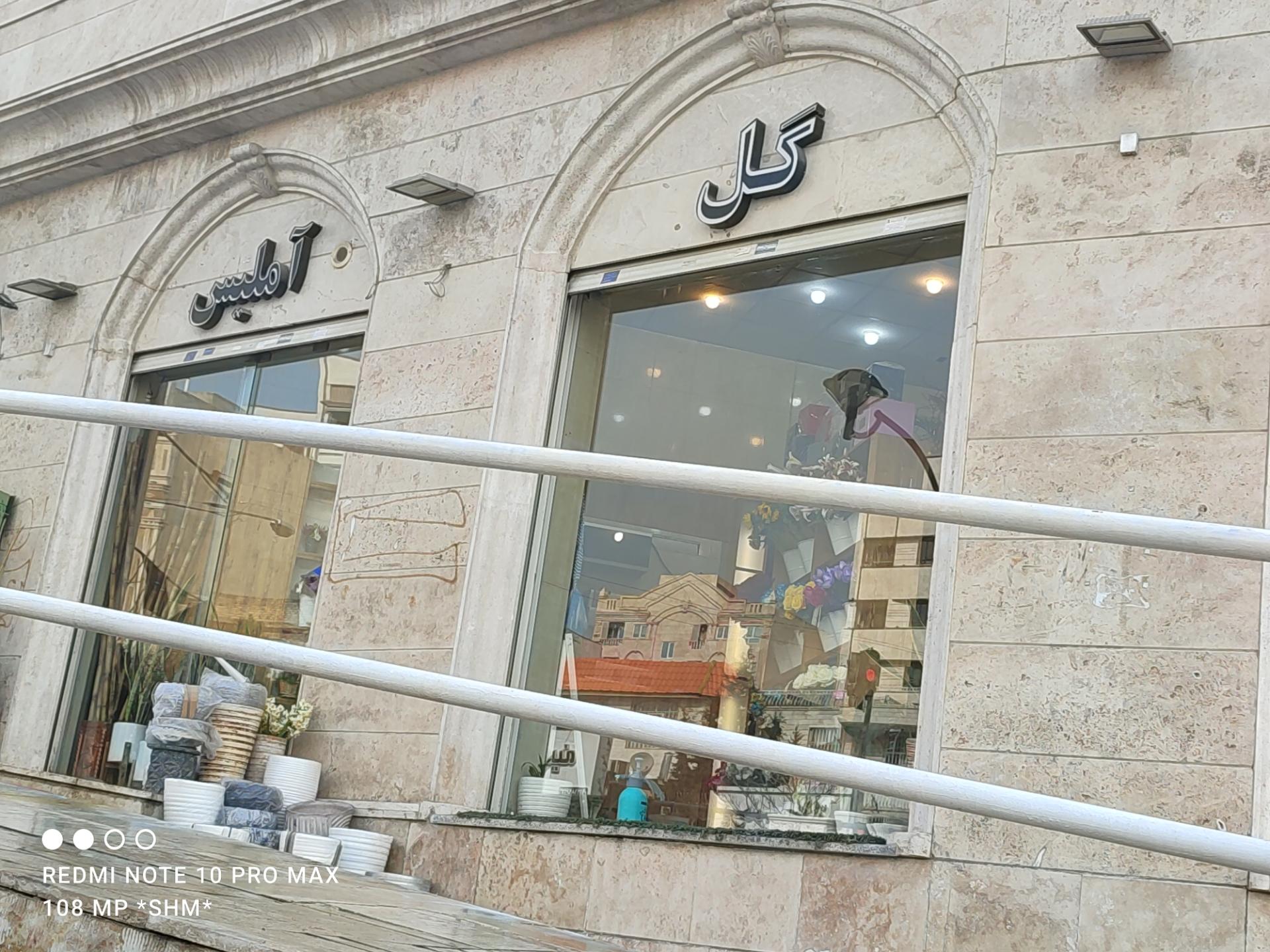 عکس گل آملیس