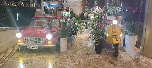 عکس گل و گیاه مریم گلی