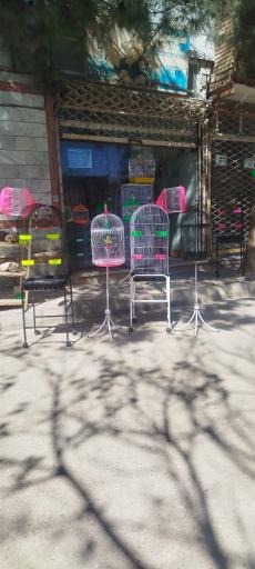 عکس پرنده سرای عباس