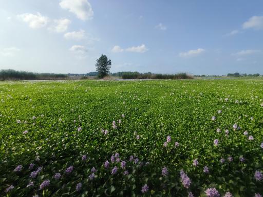 عکس آب بندان آغوزبن