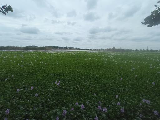 عکس آب بندان آغوزبن