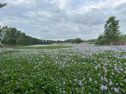 عکس آب بندان آغوزبن