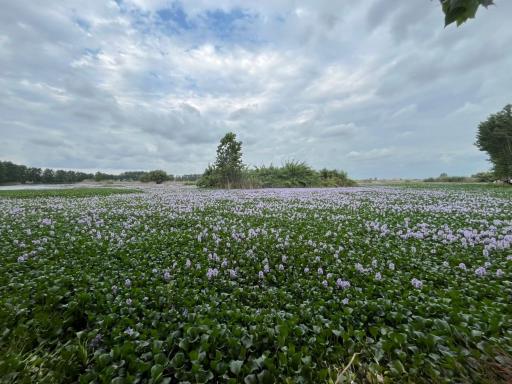 عکس آب بندان آغوزبن