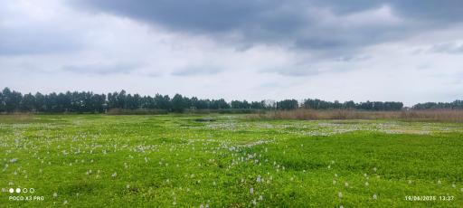 عکس آب بندان آغوزبن