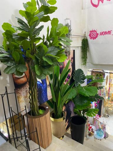 عکس فروشگاه هوم پلاس