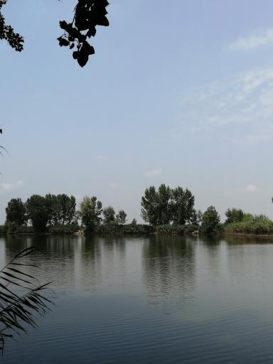 عکس آب بندان آغوزبن