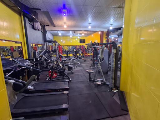 باشگاه بدنسازی معینی 