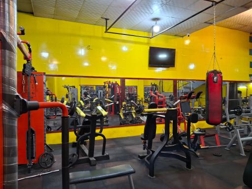 عکس باشگاه بدنسازی معینی 