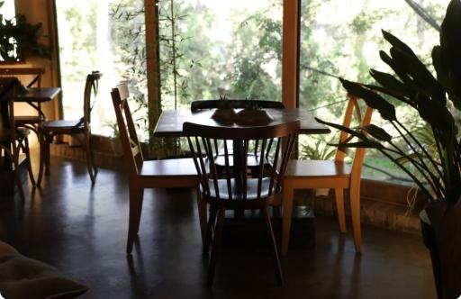 عکس کافه هارمونی