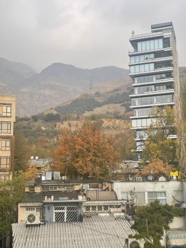 عکس برج گل نرگس