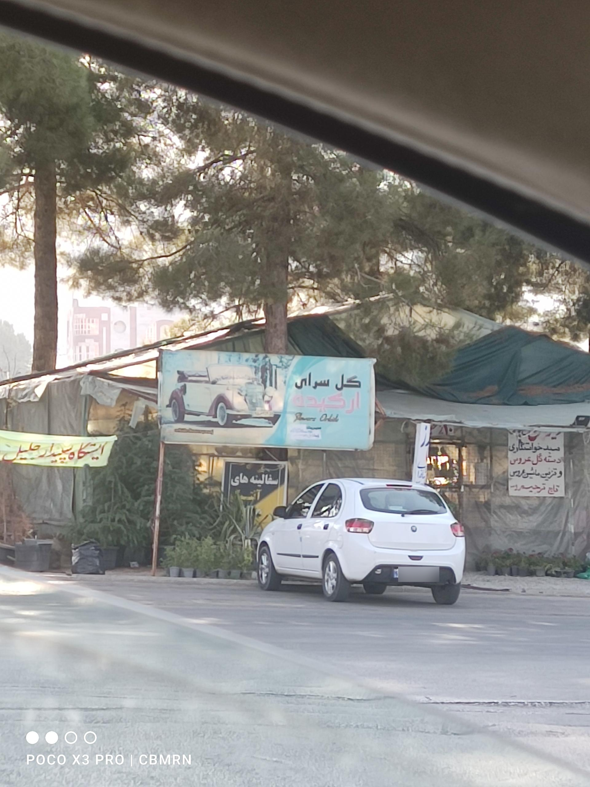 عکس گل سرای ارکیده 