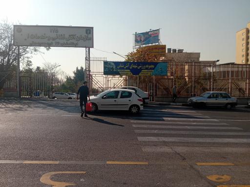 عکس نخل