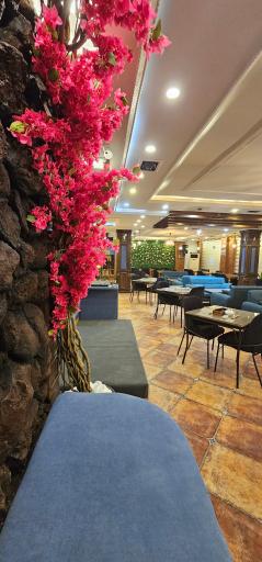 عکس کافه رستوران دریسا