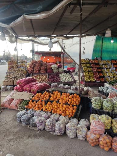 عکس میوه سرای یزدانی 