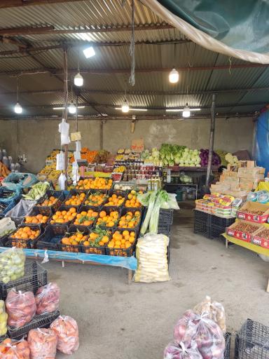 عکس میوه سرای یزدانی 