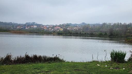 عکس برکه سیدوارستان 