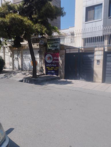 عکس باشگاه نیکاسا