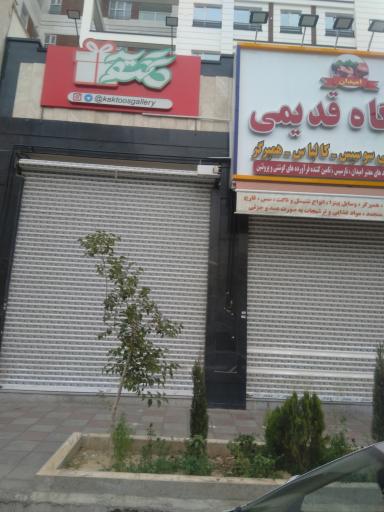 عکس فروشگاه کاکتوس