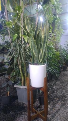 عکس گلخانه باغ بهشت