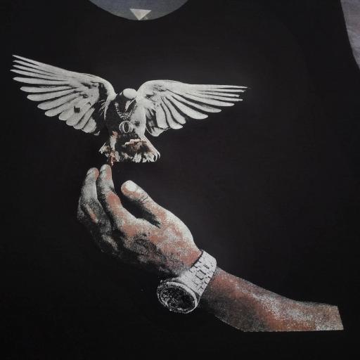 عکس چاپ آبی