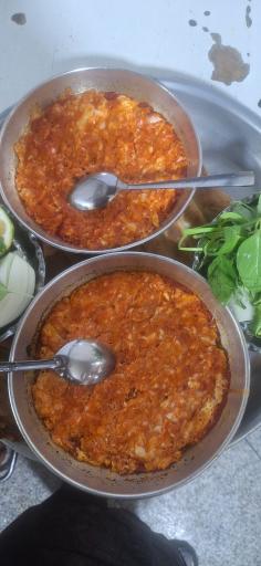 عکس دیزی سرای سحر