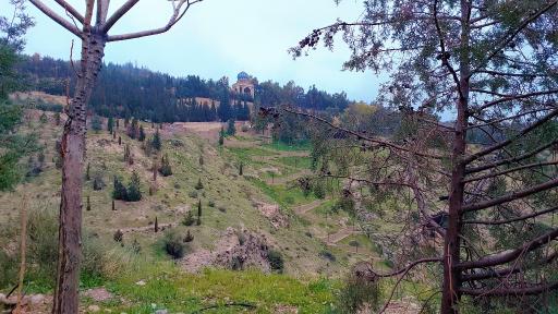 عکس بوستان جنگلی باباکوهی