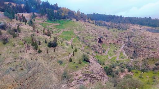 عکس بوستان جنگلی باباکوهی