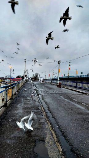 پل قدیمی غازیان