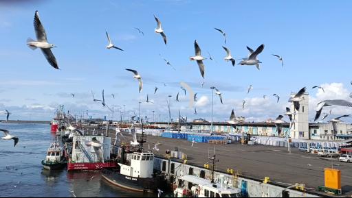 پل قدیمی غازیان