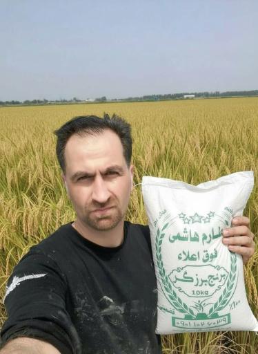 عکس برنج برزگر