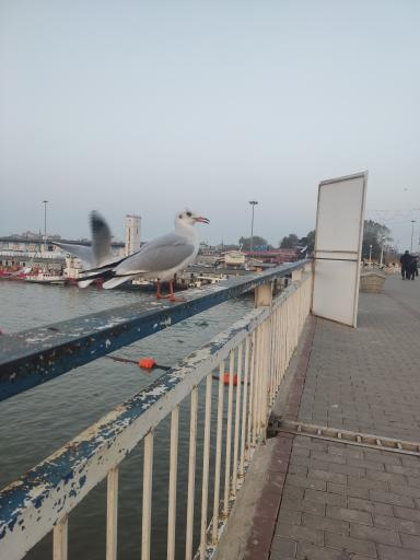 عکس پل قدیمی غازیان