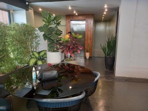 عکس کافه رستوران نگیما