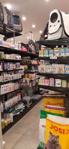 دامپزشکی کالج خانه اصفهان