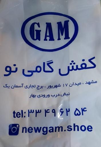 عکس کفش گامی نو 