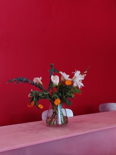 عکس سالاد تک