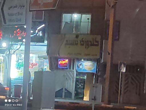 عکس گلدوزی نسیم 