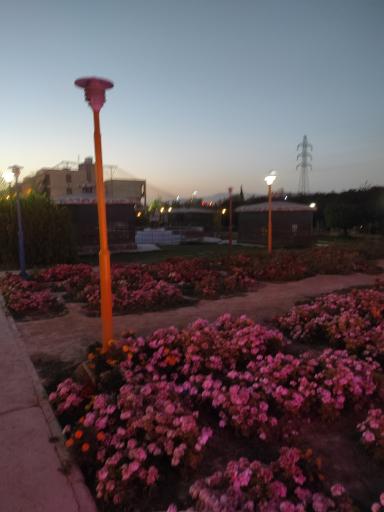 عکس مجتمع فرهنگی و رفاهی شهید تندگویان(باغ پرندگان و پارک)