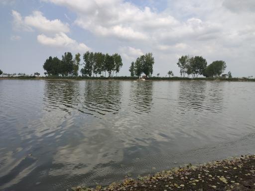 عکس دریاچه پرورش ماهی