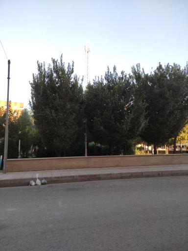 عکس بوستان نقش جهان