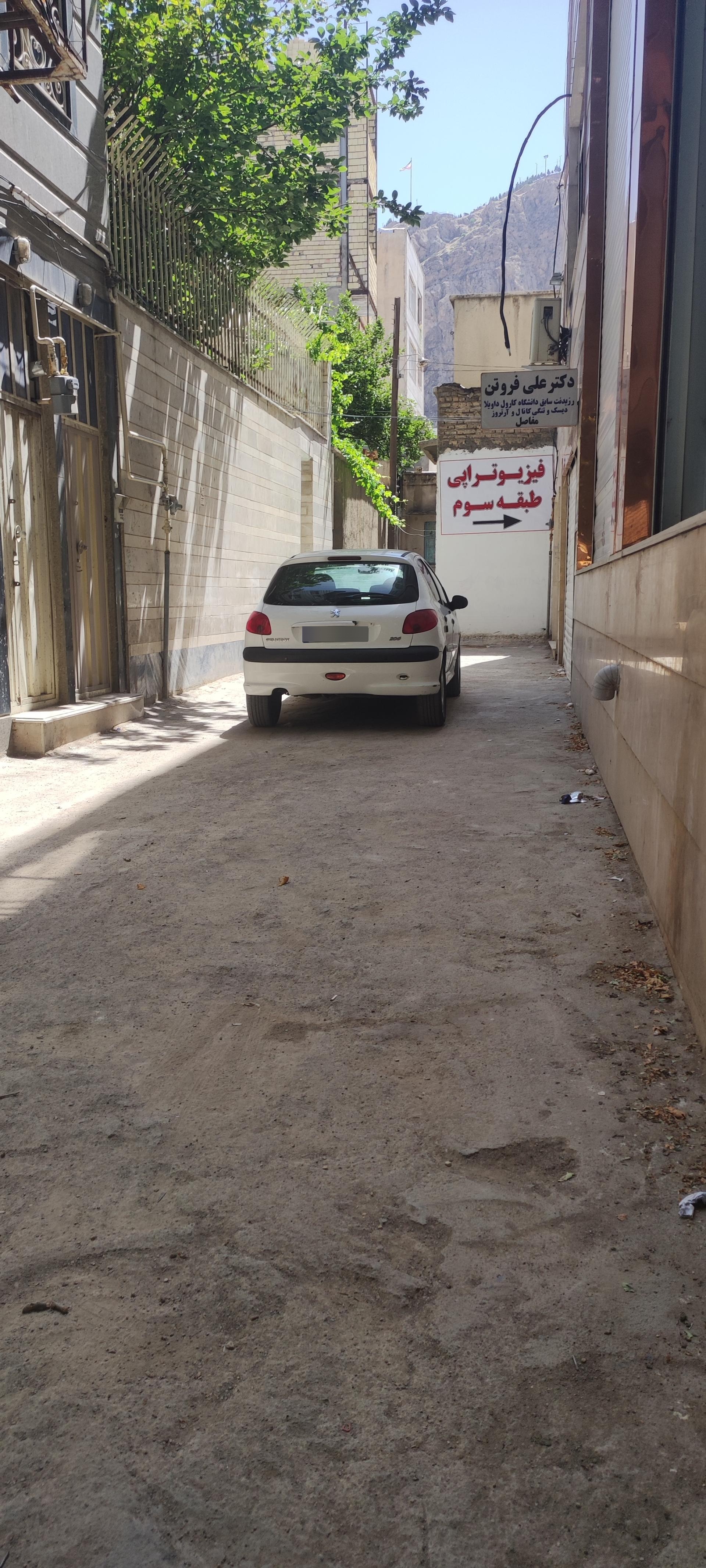 عکس دکتر علی فروتن