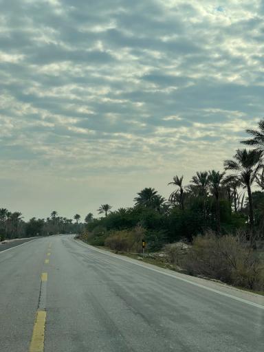 عکس نخلستان های آب پخش